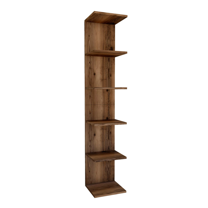 THOMAS Walnut Bookcase in smoked walnut finish, showcasing modern design and spacious shelves.