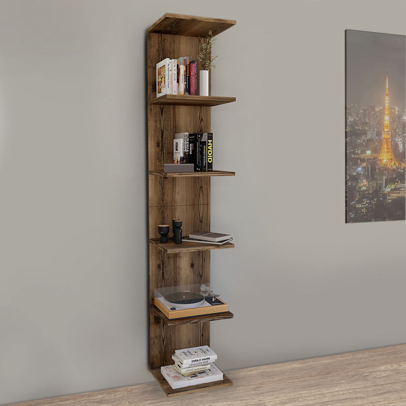 THOMAS Walnut Bookcase in smoked walnut finish, showcasing modern design and spacious shelves.