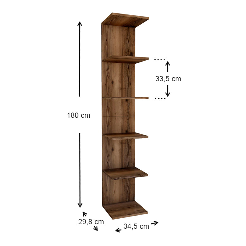 THOMAS Walnut Bookcase in smoked walnut finish, showcasing modern design and spacious shelves.