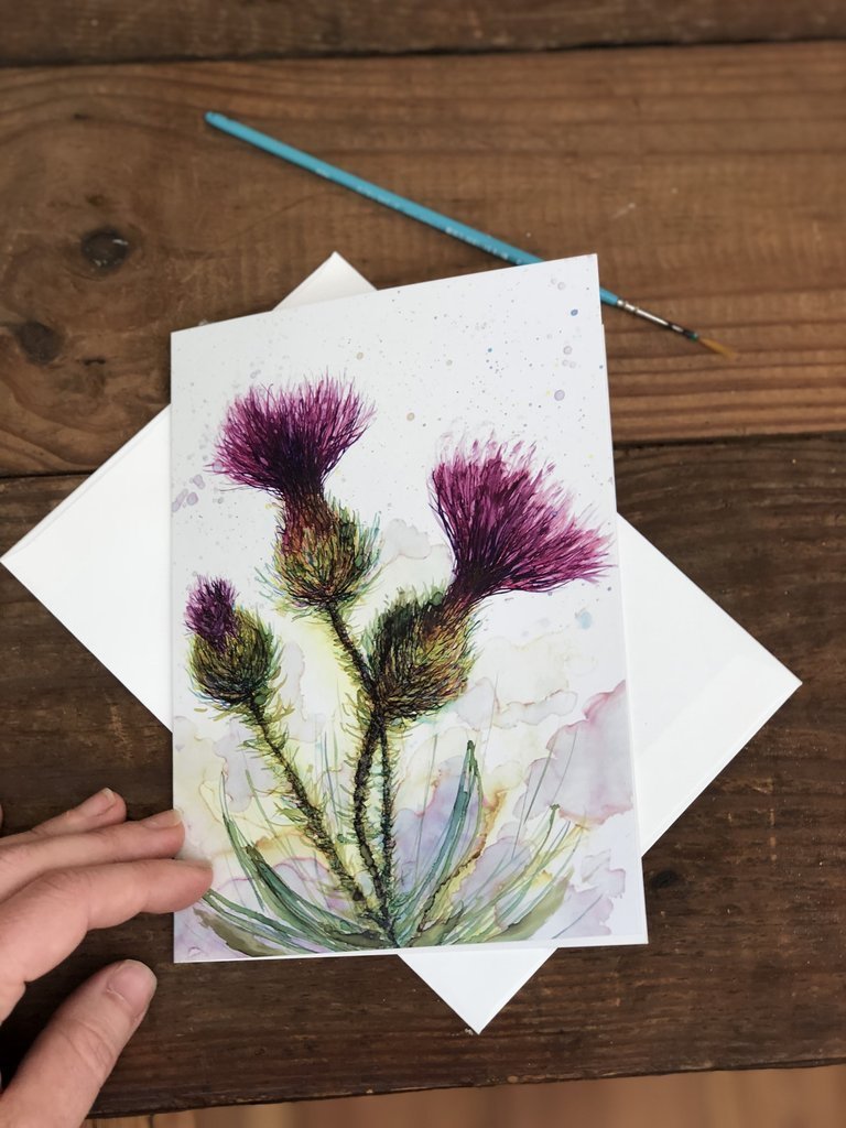 A beautifully arranged box set of 6 greeting cards featuring original flower paintings including Thistles, Daylily, Rose, and Magnolia.