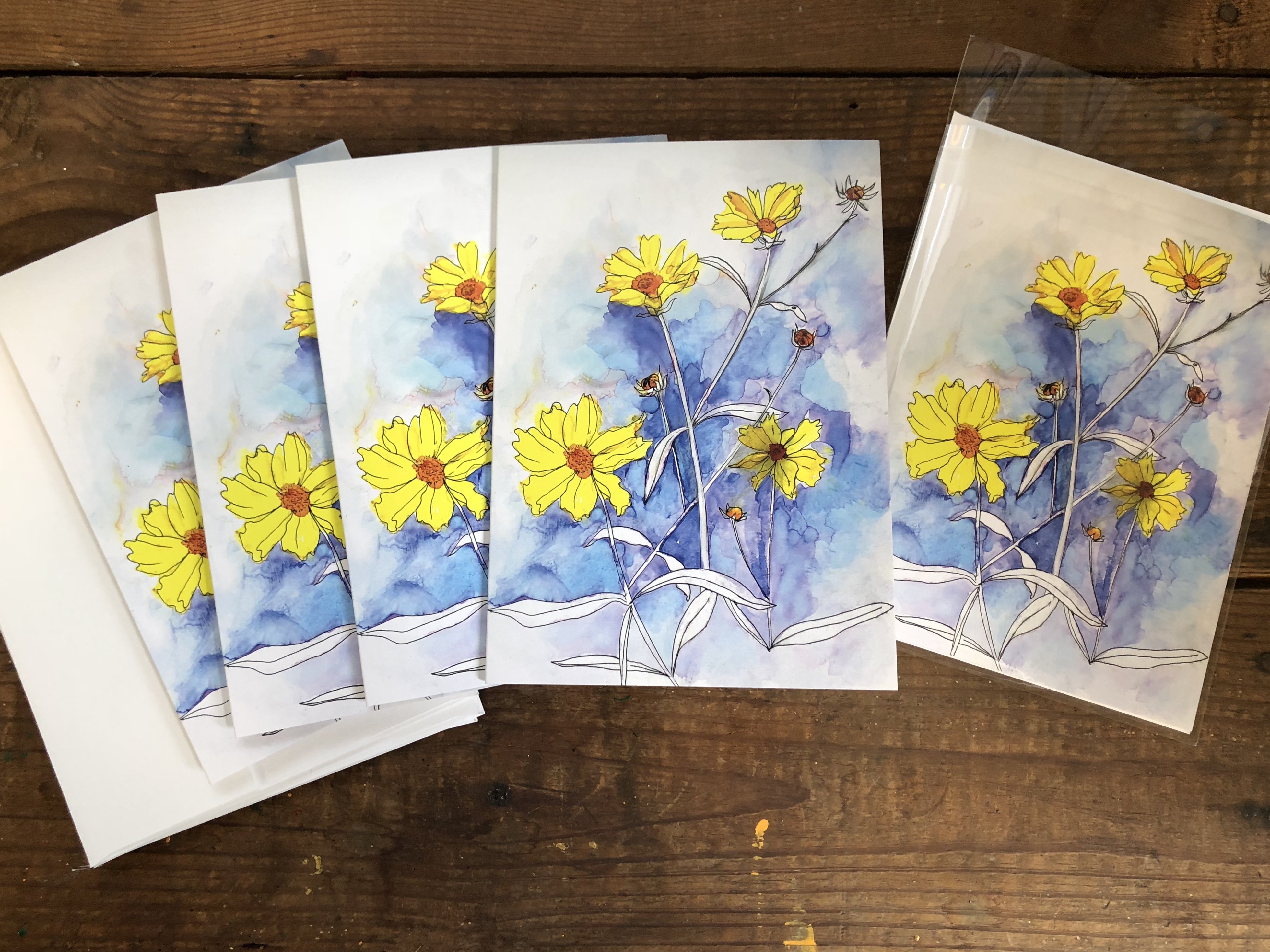 A beautifully arranged box set of 6 greeting cards featuring original flower paintings including Thistles, Daylily, Rose, and Magnolia.