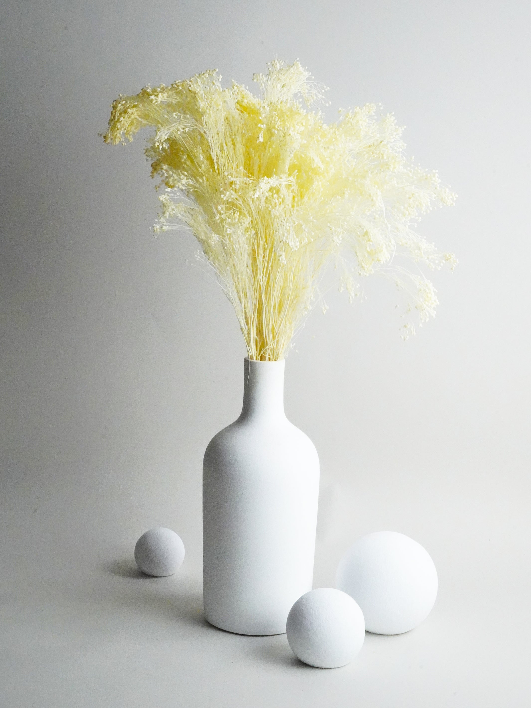 A beautiful arrangement of Brooms Seca, showcasing preserved flowers in vibrant colors, perfect for minimalistic decor.