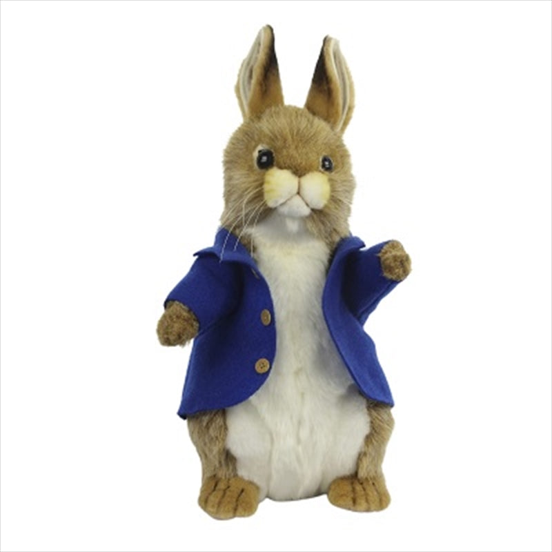 A soft and cuddly 35cm Bunny Male Plush toy with floppy ears and a friendly face, perfect for hugging and gifting.