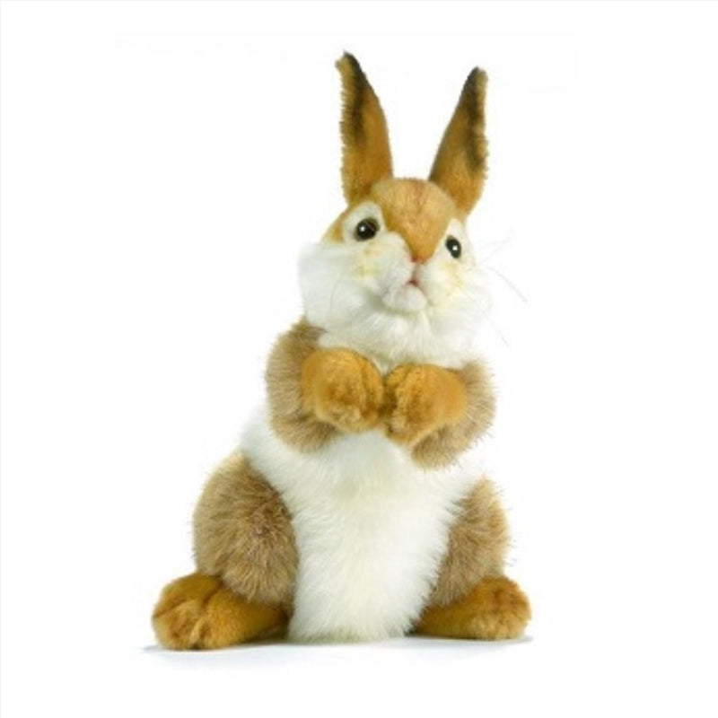 A soft and cuddly 30cm Bunny Plush toy with floppy ears and a cute expression, perfect for children and adults.