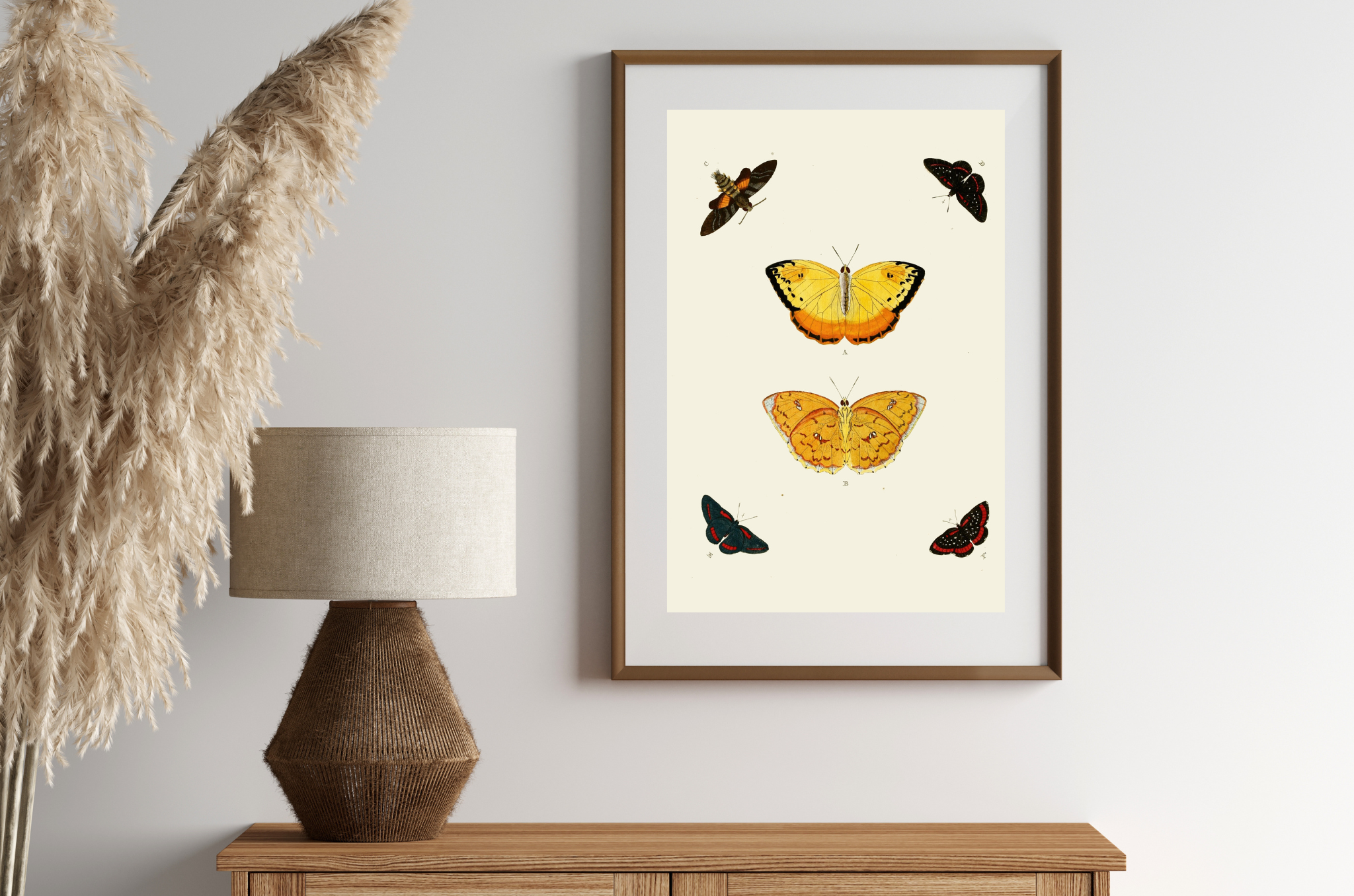 A vibrant Butterfly Art Print on museum-grade canvas showcasing rich colors and intricate details, perfect for home decor.