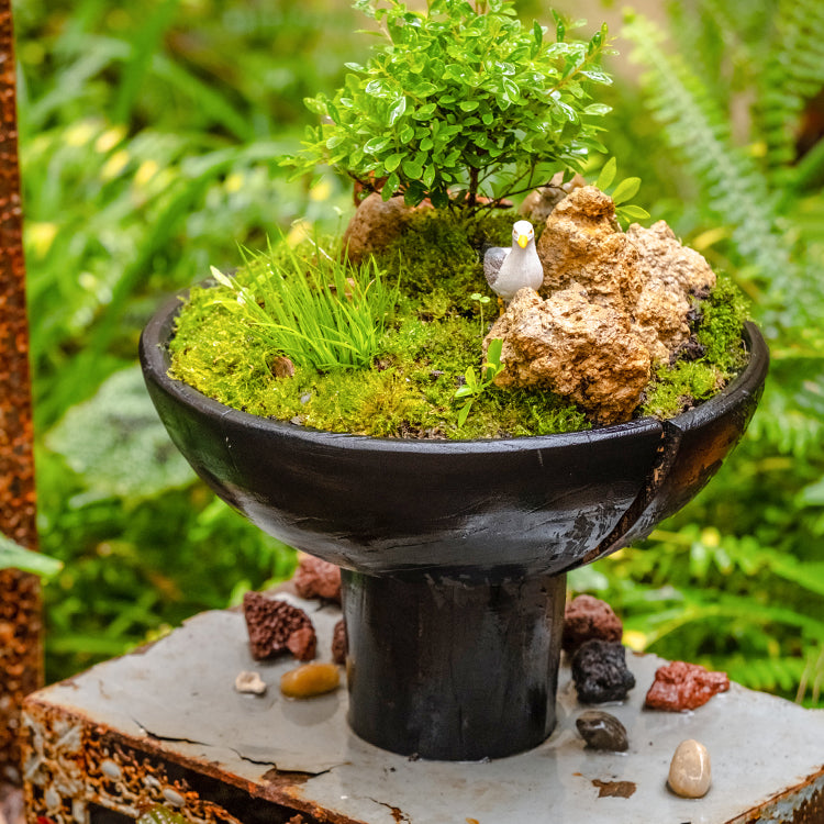 A stylish Carbonized Wood Footed Bowl with a fluted pedestal, showcasing a smoky charcoal color and intricate wood grain patterns.