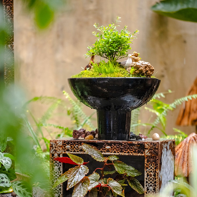 A stylish Carbonized Wood Footed Bowl with a fluted pedestal, showcasing a smoky charcoal color and intricate wood grain patterns.