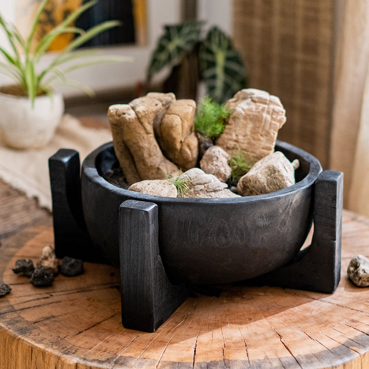 Carbonized wood plant bowl with stand, featuring a dark ashen black finish and minimalist design, ideal for decorative arrangements.