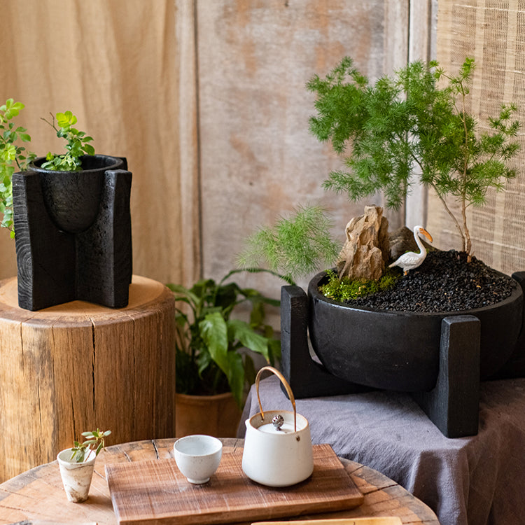 Carbonized wood plant bowl with stand, featuring a dark ashen black finish and minimalist design, ideal for decorative arrangements.