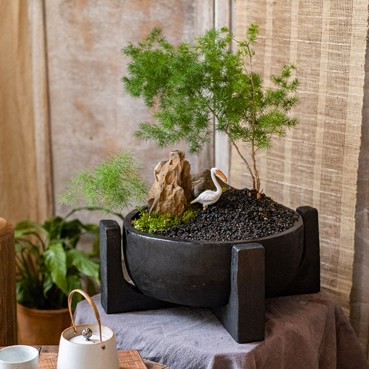 Carbonized wood plant bowl with stand, featuring a dark ashen black finish and minimalist design, ideal for decorative arrangements.