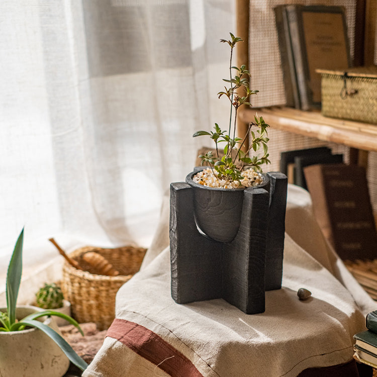 Carbonized wood plant bowl with stand, featuring a dark ashen black finish and minimalist design, ideal for decorative arrangements.