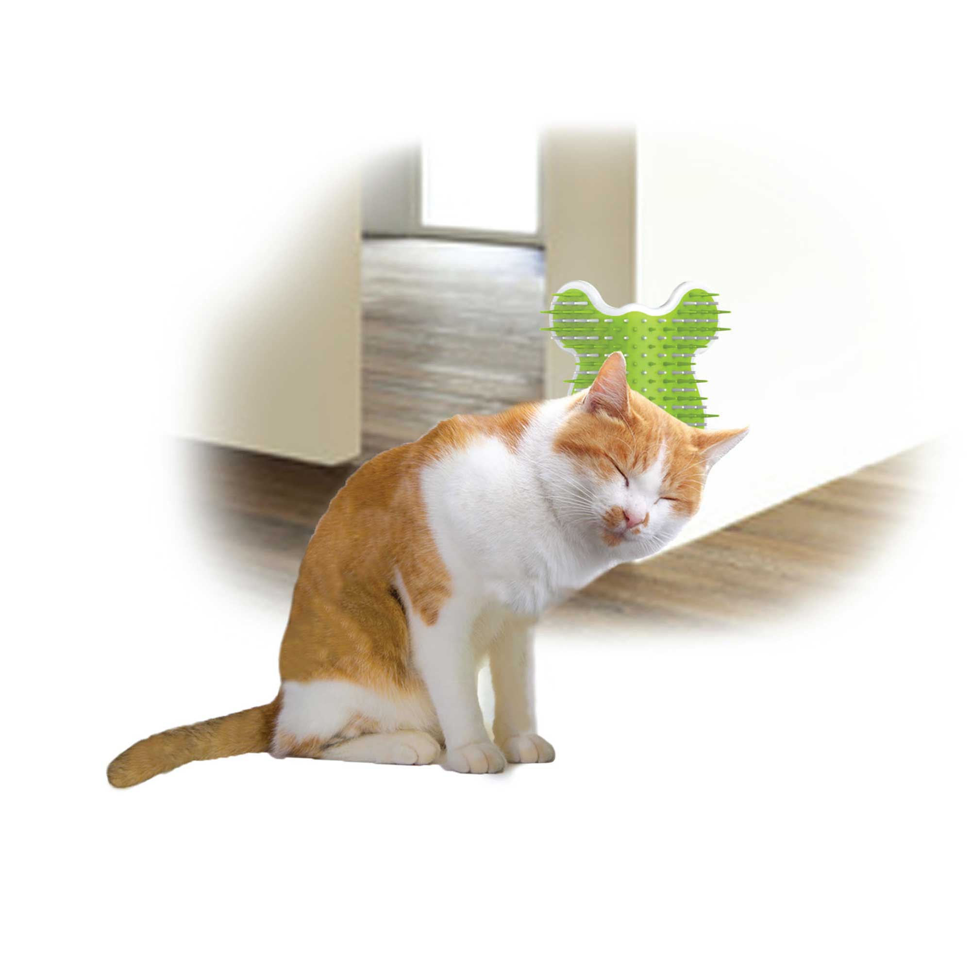 Cat Corner Groomer with Catnip, wall-mounted pet self comb massager featuring soft and hard bristles in light green and white colors.