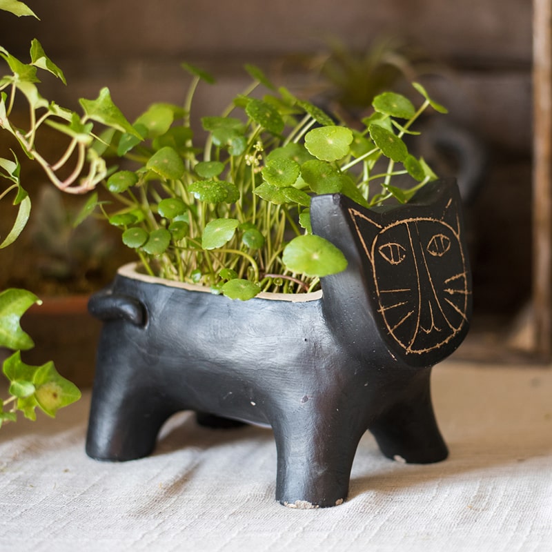 A charming cat-shaped small planter made of concrete, showcasing a unique design in black, khaki, and mixed colors.