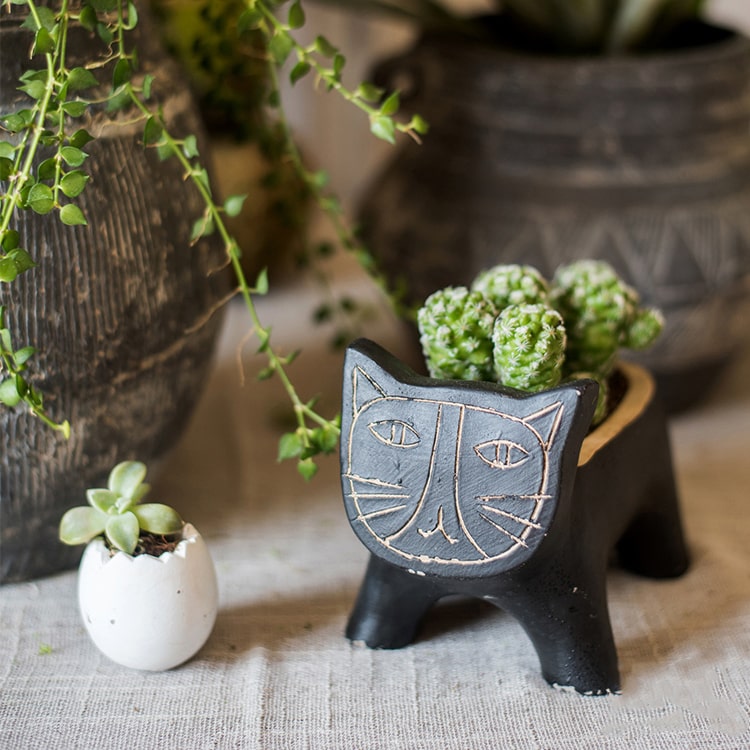 A charming cat-shaped small planter made of concrete, showcasing a unique design in black, khaki, and mixed colors.