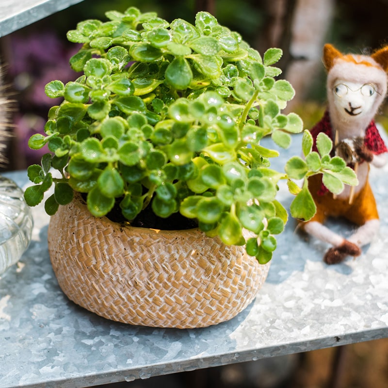 Cement Weaving Pattern Planter in khaki color, showcasing its unique design and drainage hole.