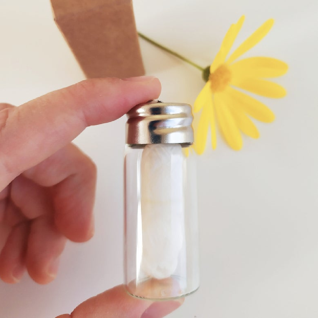 A glass bottle containing biodegradable charcoal dental floss, showcasing its eco-friendly packaging and spearmint flavor.