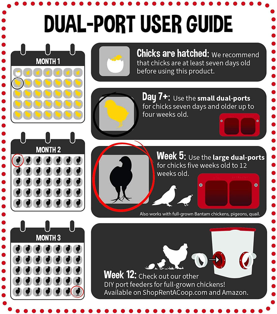 Cheeky Chooka Dual Chick Feeder Port Kit with dual ports and assembly tools for creating a no-mess feeding solution for chicks.