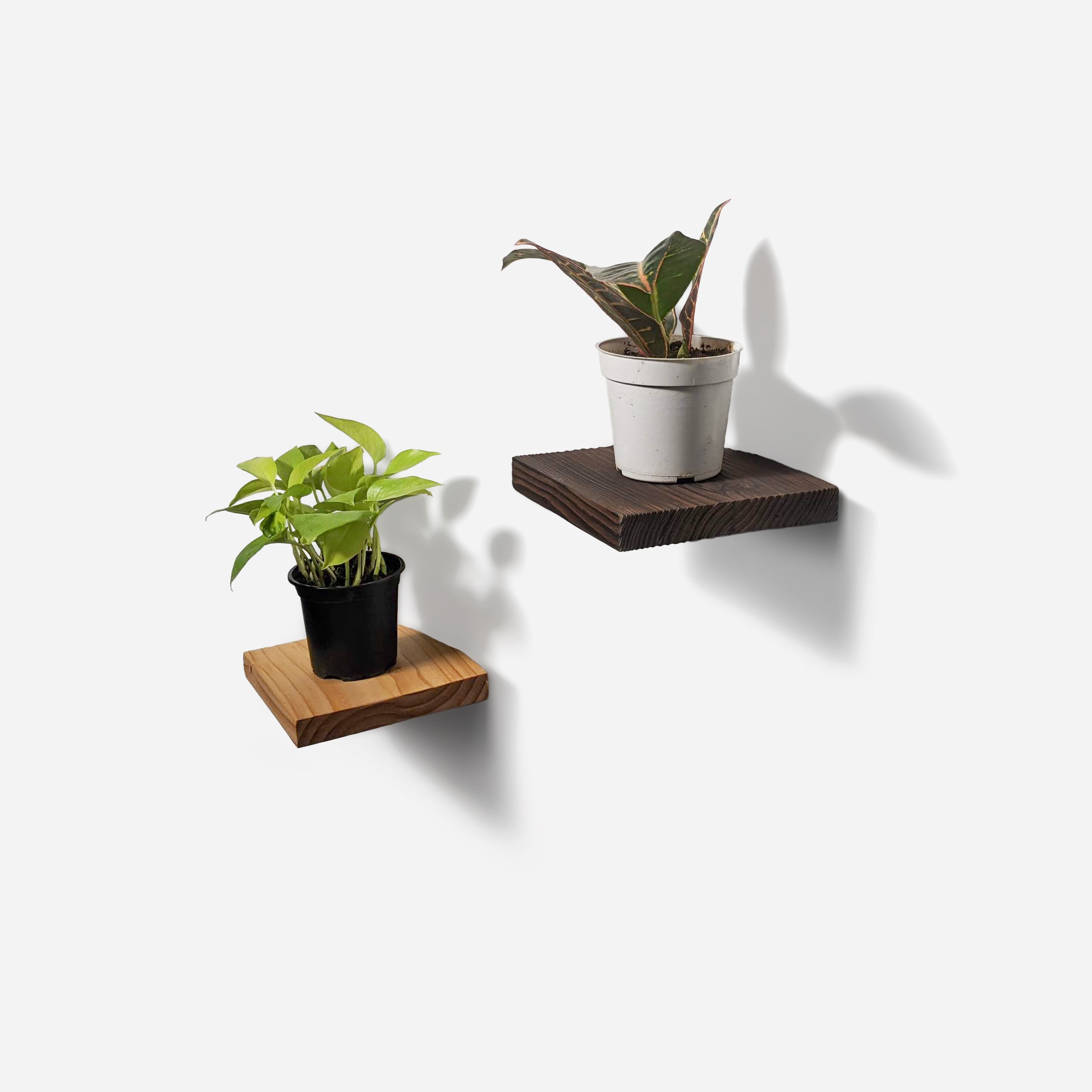 Chopped Plant Shelf mounted on a wall, showcasing its unique design and wood finish.