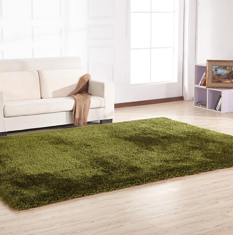 Chubby Green Area Rug showcasing a soft shaggy texture in solid green color, perfect for home decor.