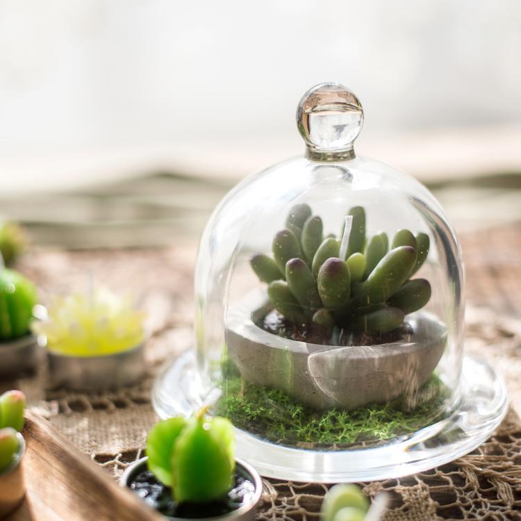 A clear glass dome showcasing a decorative item inside, elegantly designed for display purposes.