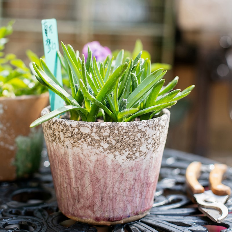 Colorful terracotta pot with vibrant mixed colors, featuring a drainage hole, ideal for plants and decoration.