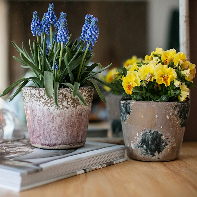 Colorful terracotta pot with vibrant mixed colors, featuring a drainage hole, ideal for plants and decoration.