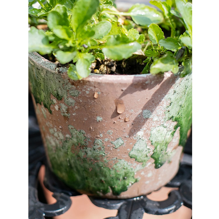 Colorful terracotta pot with vibrant mixed colors, featuring a drainage hole, ideal for plants and decoration.