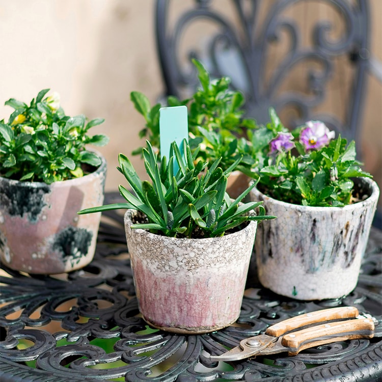 Colorful terracotta pot with vibrant mixed colors, featuring a drainage hole, ideal for plants and decoration.