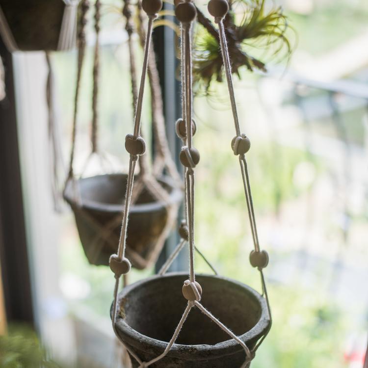 Cotton Hemp Rope Planter Hanger in beige, showcasing its durable design and multiple lengths for versatile plant display.