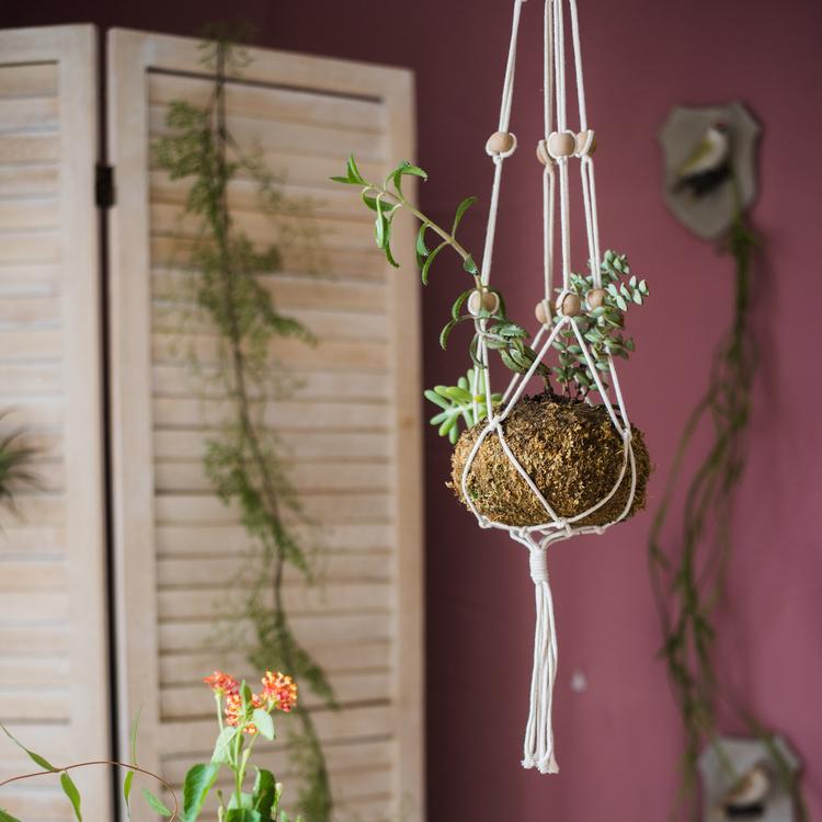 Cotton Hemp Rope Planter Hanger in beige, showcasing its durable design and multiple lengths for versatile plant display.