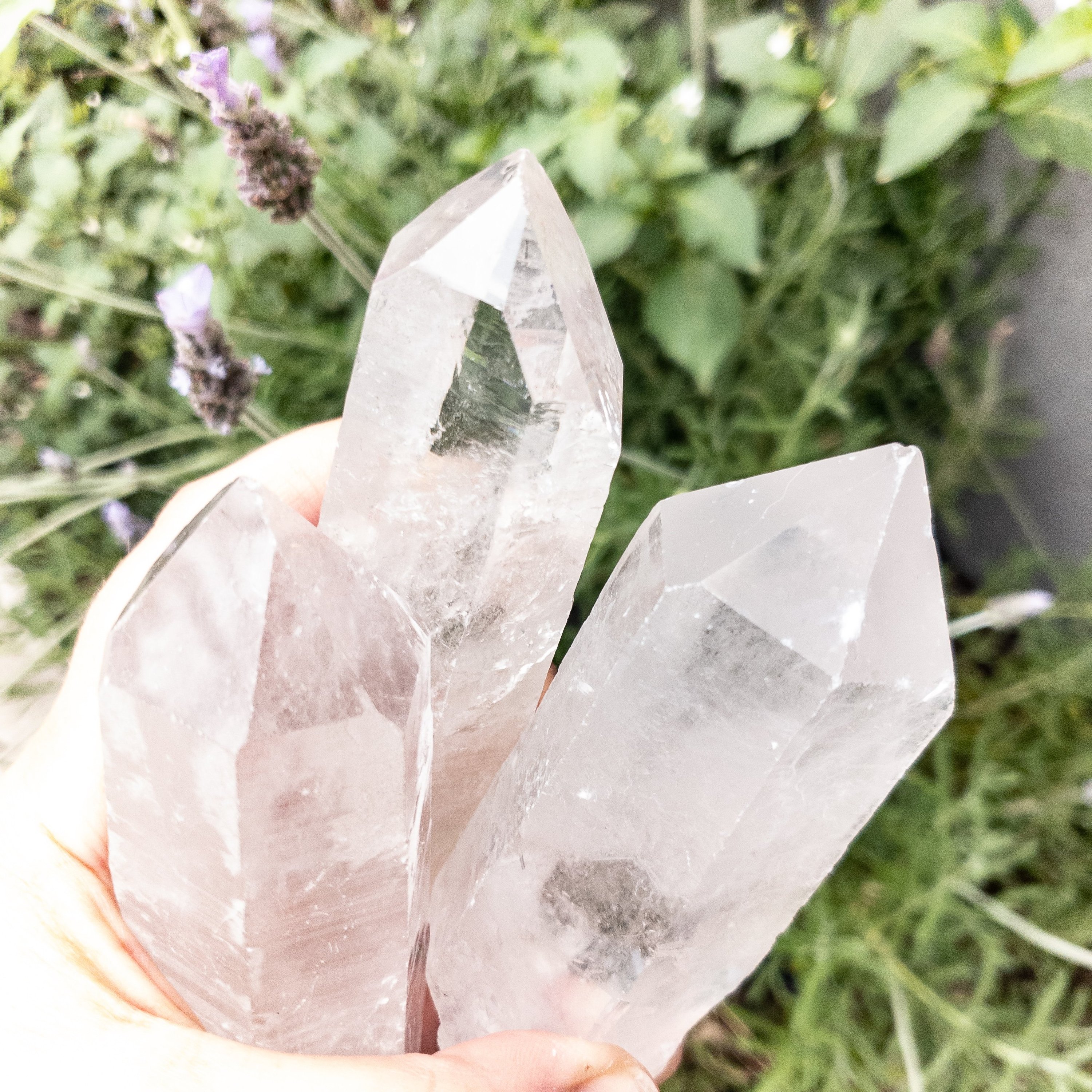 A single 5-inch long Crystal Quartz point, showcasing its clear, sparkling surface and natural shape, ideal for manifestation and cleansing other crystals.