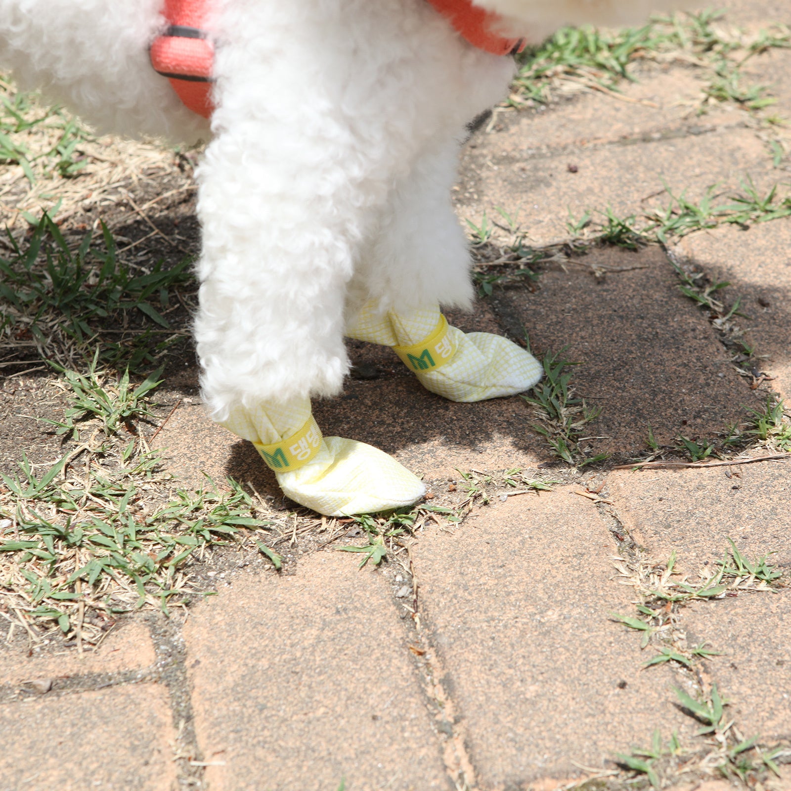 Daeng Daeng Shoes 28pc Yellow Dog Shoes, waterproof and disposable boots designed for comfort and safety, displayed in a vibrant yellow color.