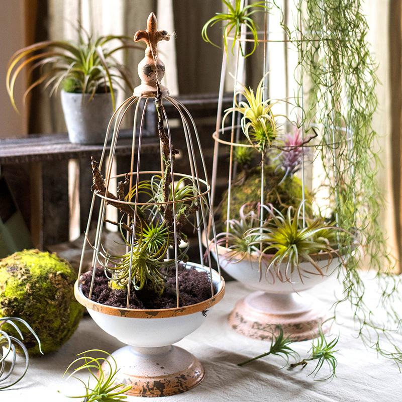 A decorative iron bird cage in white and rust colors, showcasing intricate designs and available in two sizes.