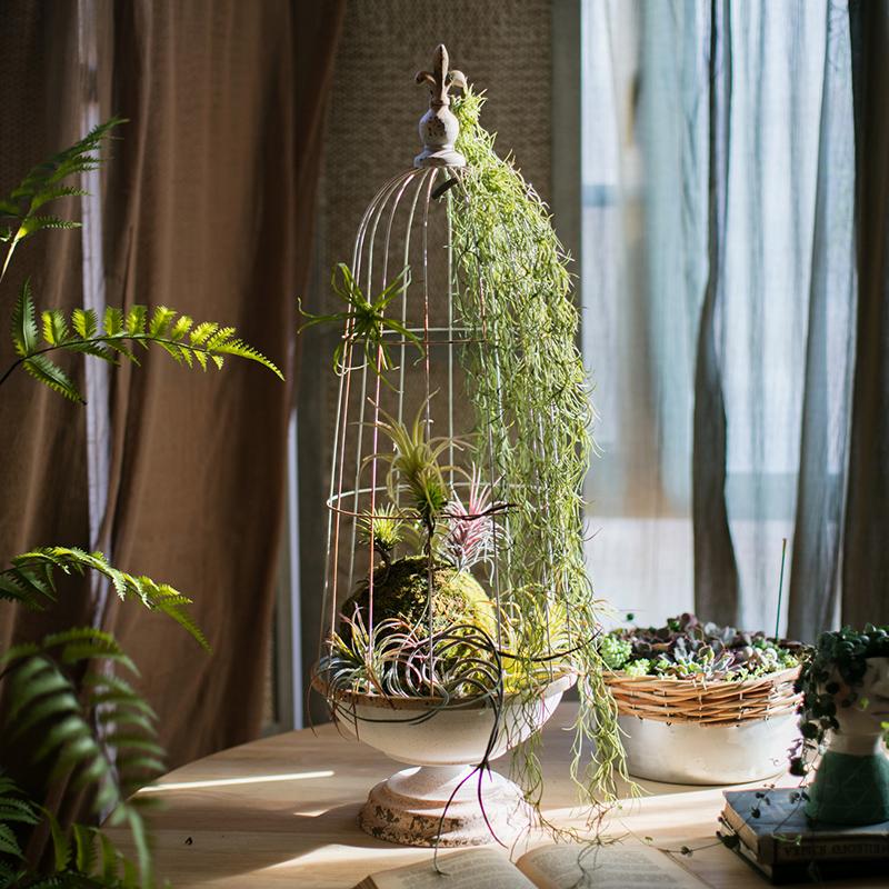 A decorative iron bird cage in white and rust colors, showcasing intricate designs and available in two sizes.