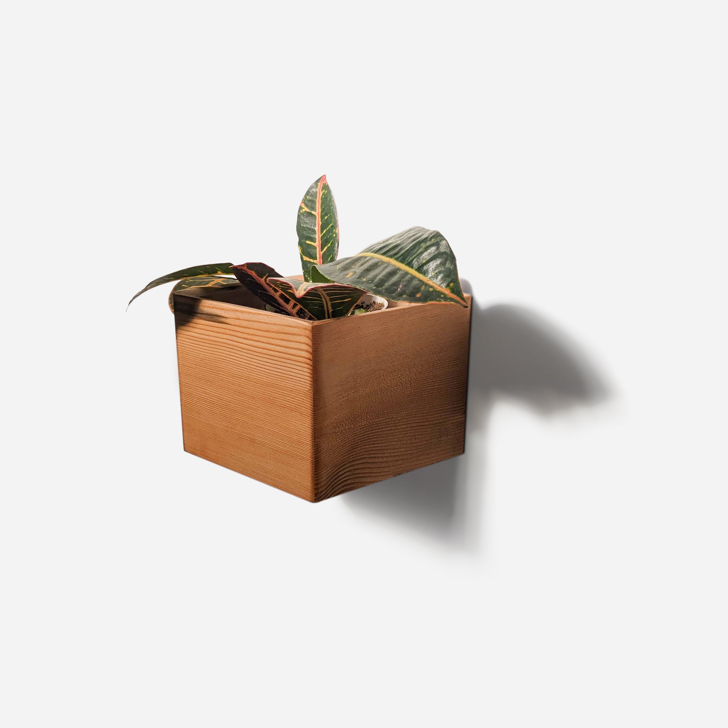 Diamond self-watering wall-mounted planter in wood, showcasing its unique shape and natural finish options.