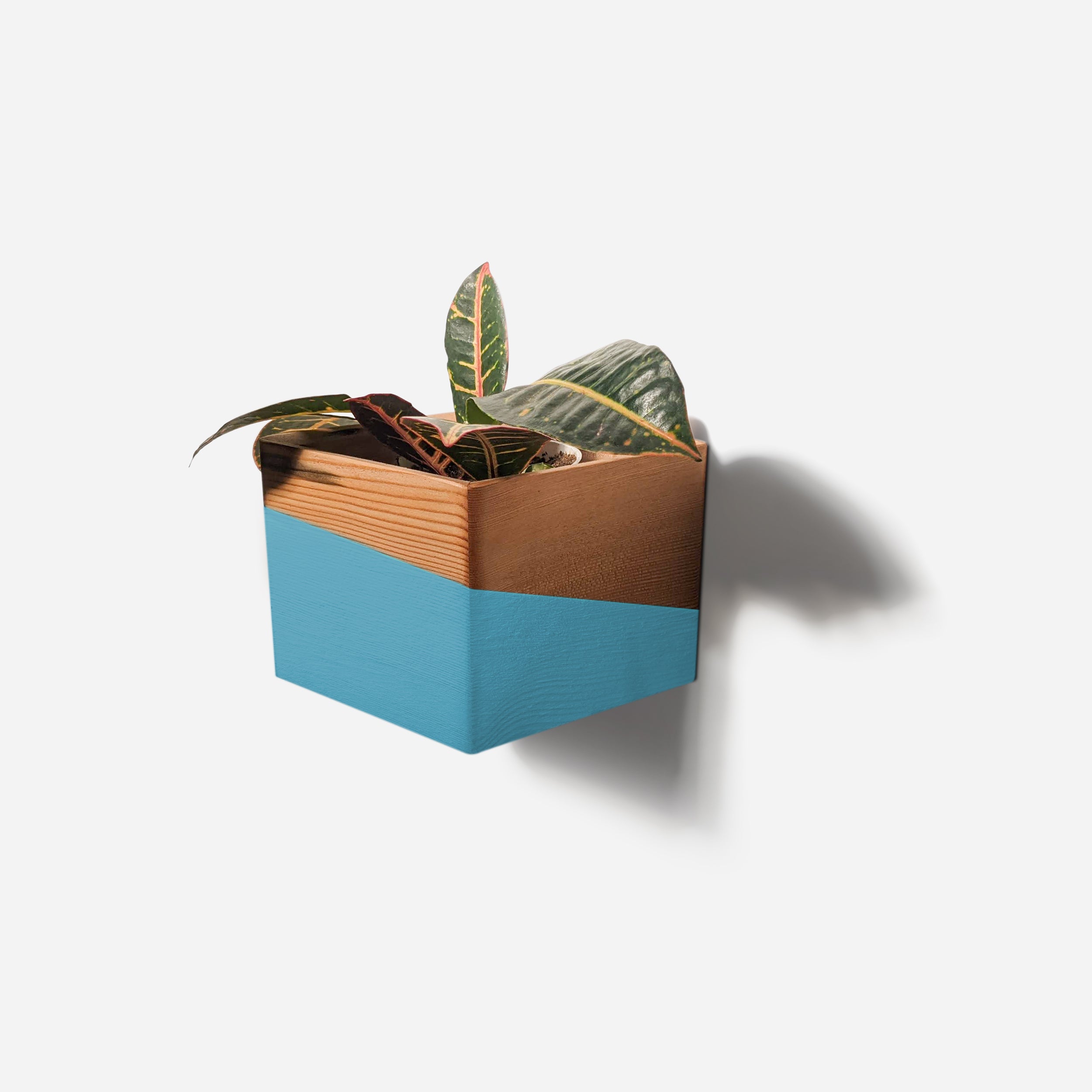 Diamond self-watering wall-mounted planter in wood, showcasing its unique shape and natural finish options.