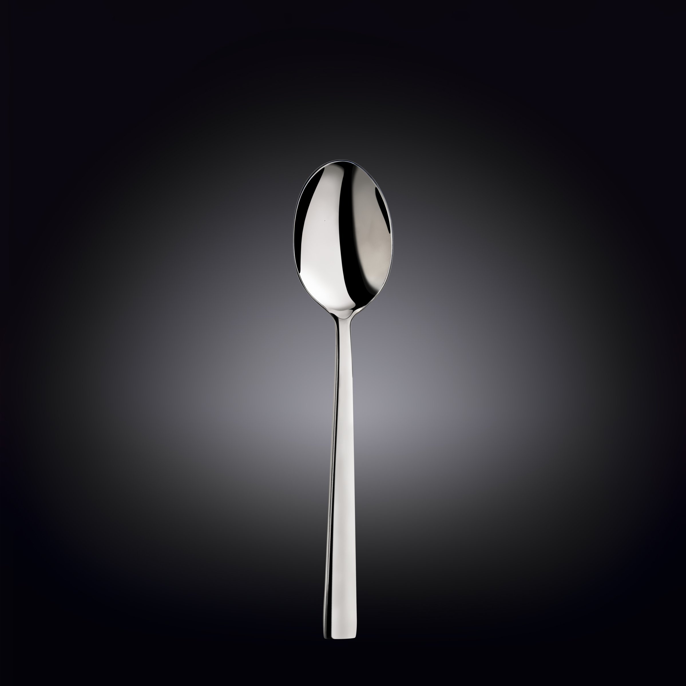 WILMAX 8-inch Dinner Spoon made of high polish stainless steel, showcasing its elegant design and smooth texture.