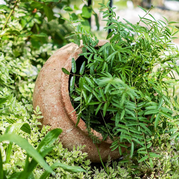 Distressed Cement Plant Pot in terracotta color, showcasing its rustic design and drainage hole.