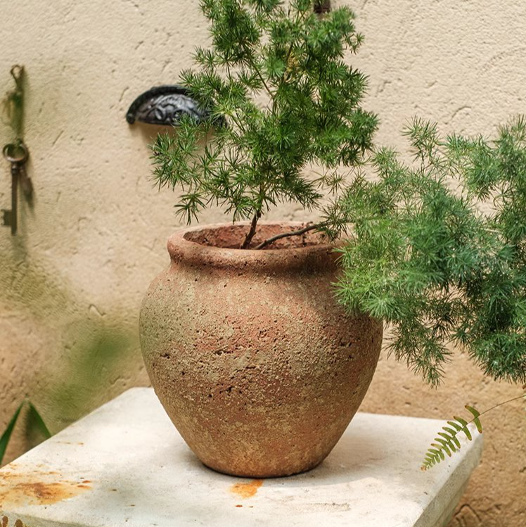 Distressed Cement Plant Pot in terracotta color, showcasing its rustic design and drainage hole.