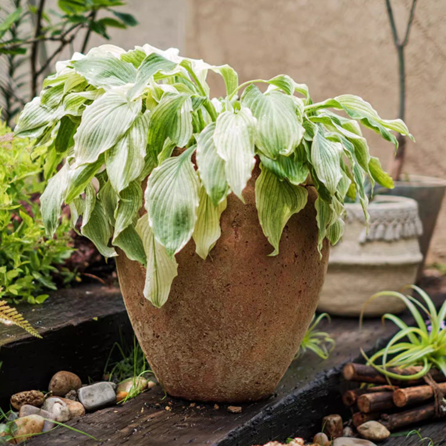 Distressed Cement Plant Pot in terracotta color, showcasing its rustic design and drainage hole.