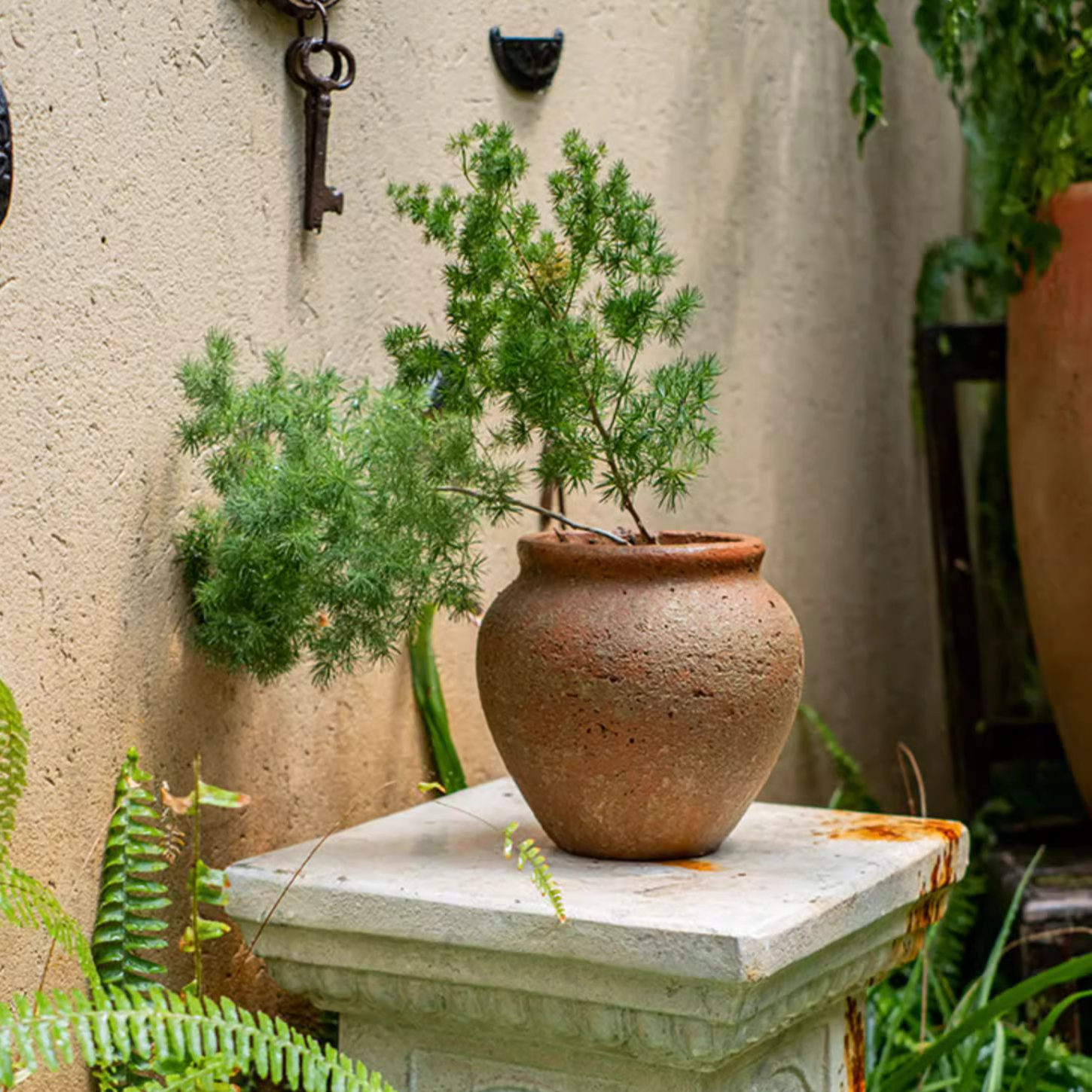 Distressed Cement Plant Pot in terracotta color, showcasing its rustic design and drainage hole.