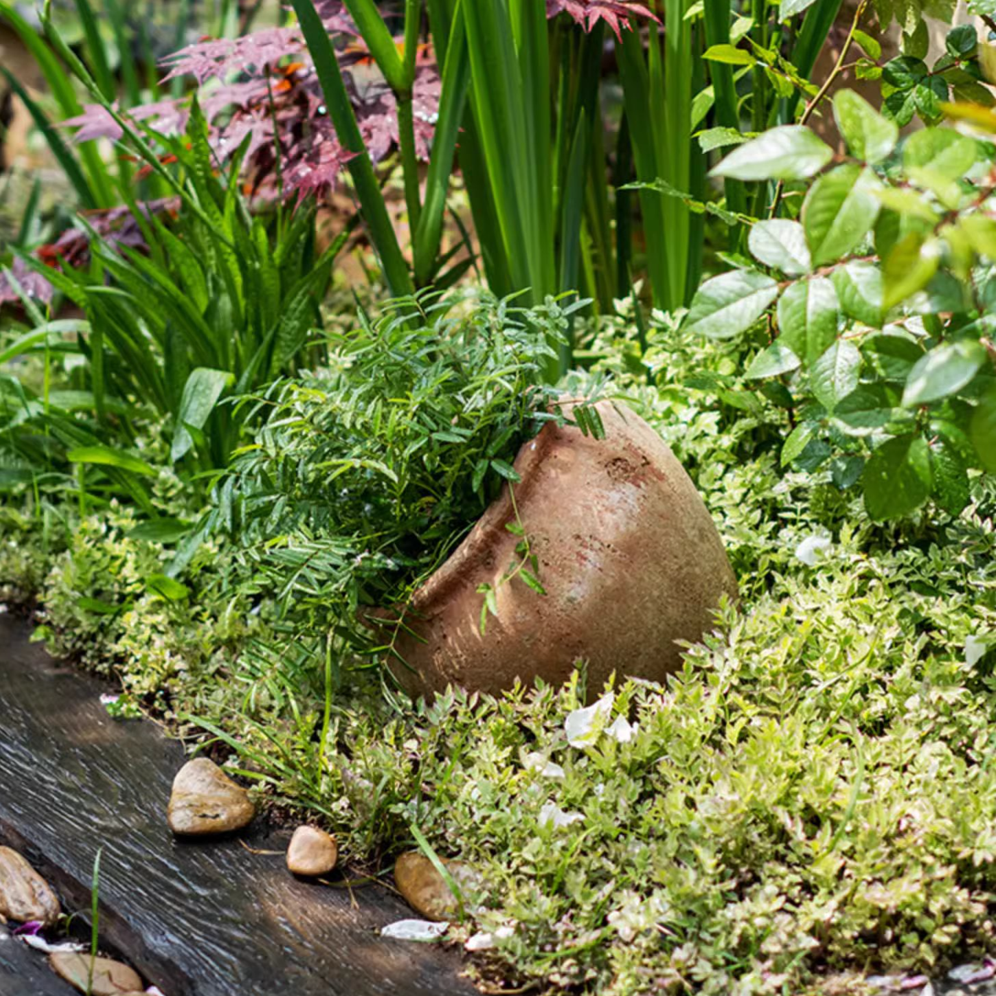 Distressed Cement Plant Pot in terracotta color, showcasing its rustic design and drainage hole.