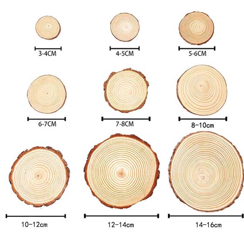 Natural pine wood slices with tree bark, ideal for DIY crafts and decor projects.