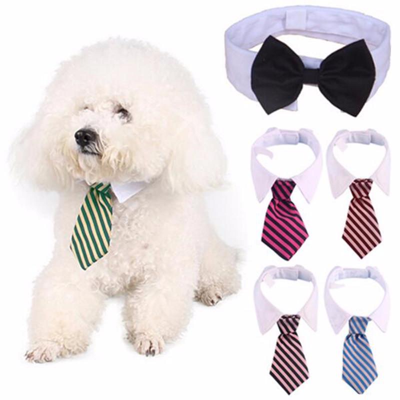 A stylish white collar with a striped bow tie designed for small dogs and cats, showcasing its adjustable feature and fashionable design.