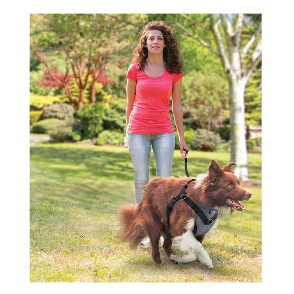 Dog Harness 2 in 1 Combo designed for car travel and walks, featuring adjustable clips and padded chest pad for comfort.