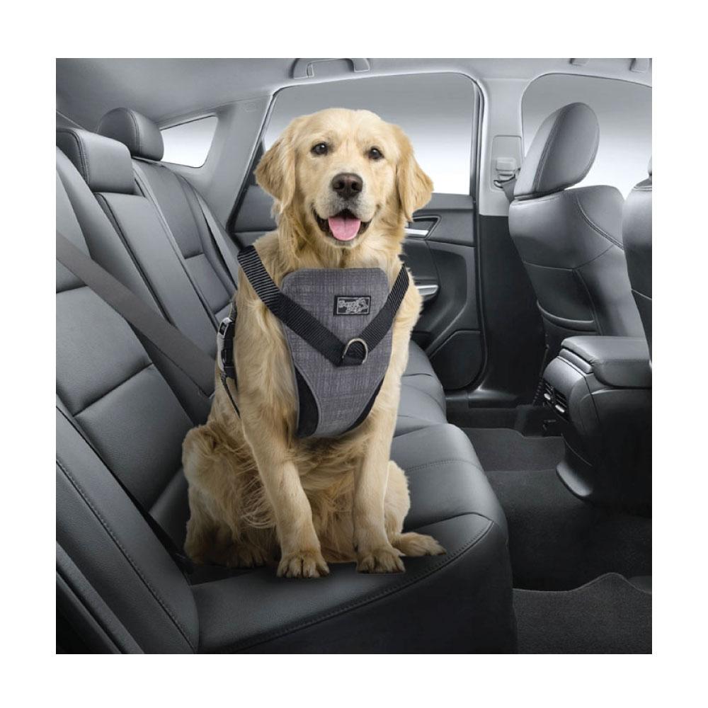 Dog Harness 2 in 1 Combo designed for car travel and walks, featuring adjustable clips and padded chest pad for comfort.