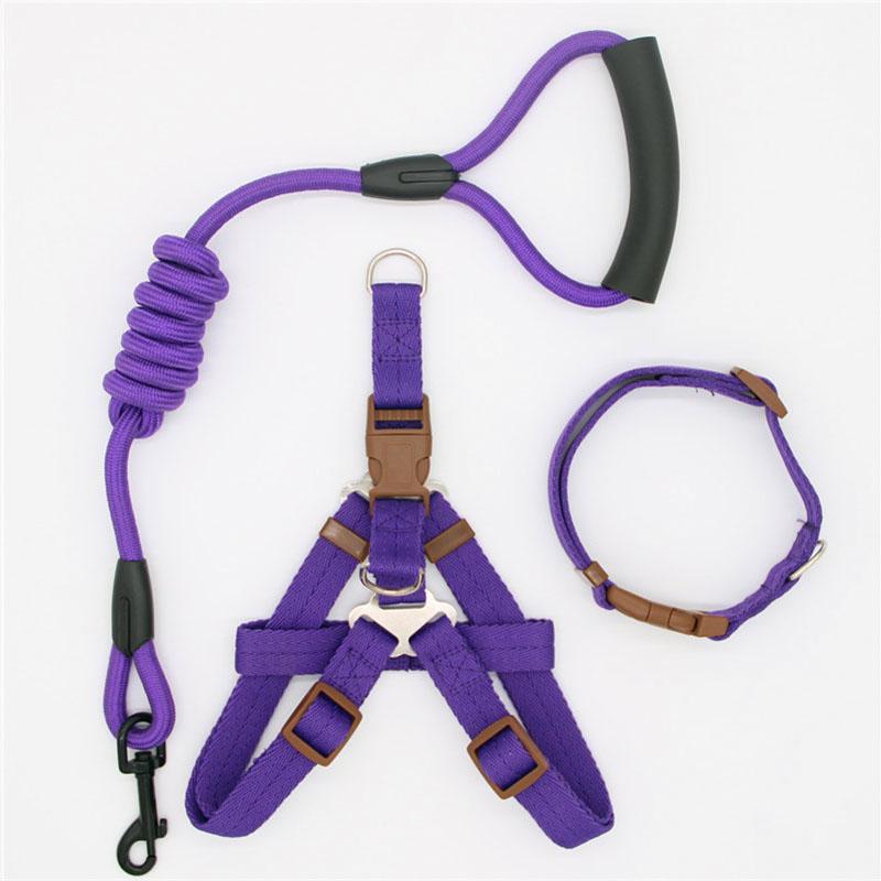 A durable dog leash traction rope in various colors, suitable for small and large dogs, made from high-quality nylon material.