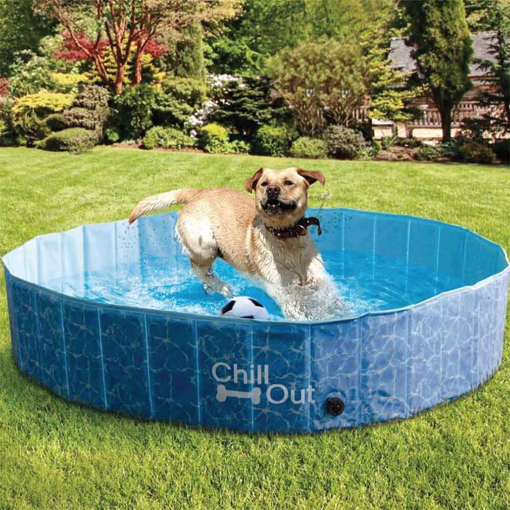 Chill Out Plastic Dog Swimming Pool with anti-slip bottom, perfect for summer fun and safety for pets.