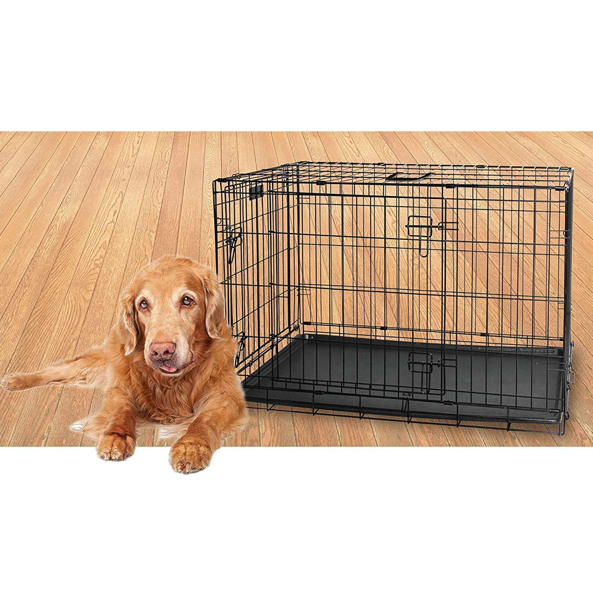 Medium-sized portable dog wire crate made of black-coated wire, featuring double door access and a removable tray for easy cleaning.