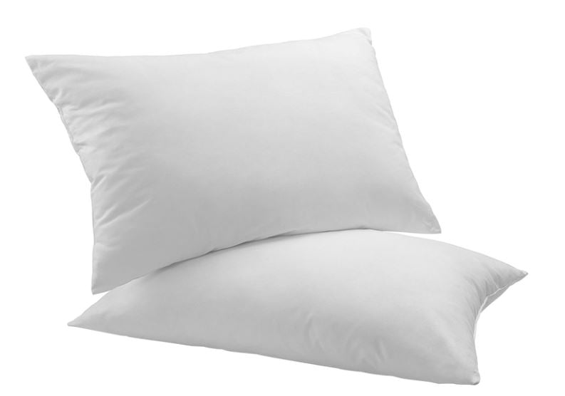 Dreamaker Allergy Sensitive Cotton Cover Pillow 2 Pack featuring natural cotton cover and self-colour piping, ideal for allergy sufferers.